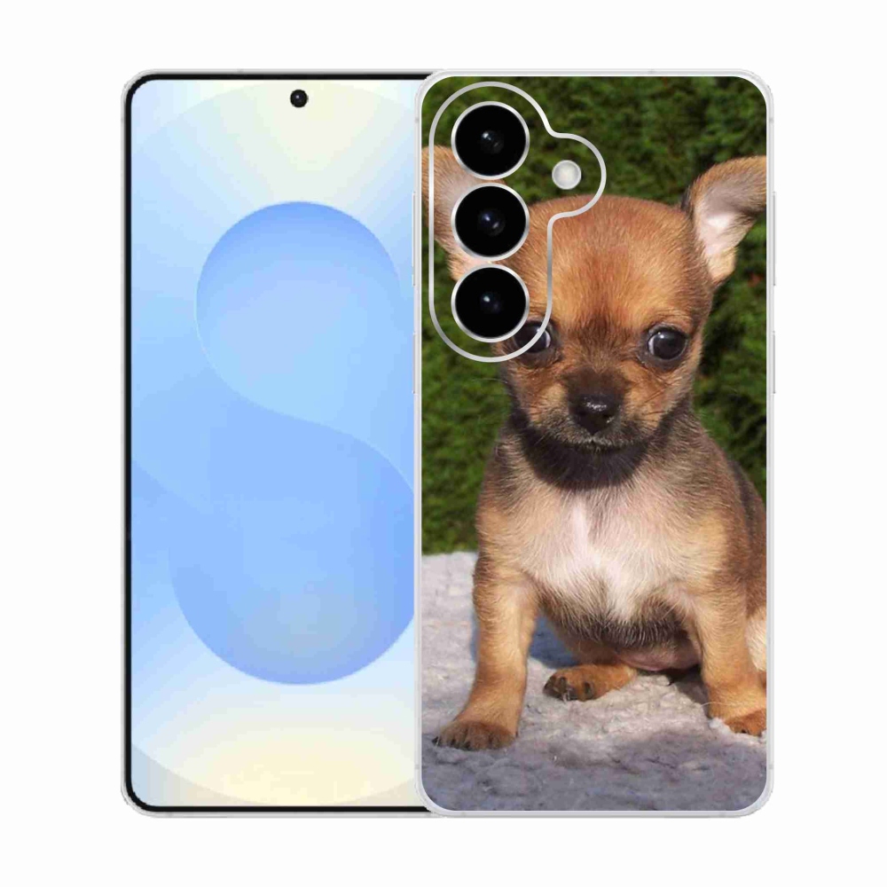 Gél borítás mmCase Samsung Galaxy S26 készülékhez - chihuahua 3