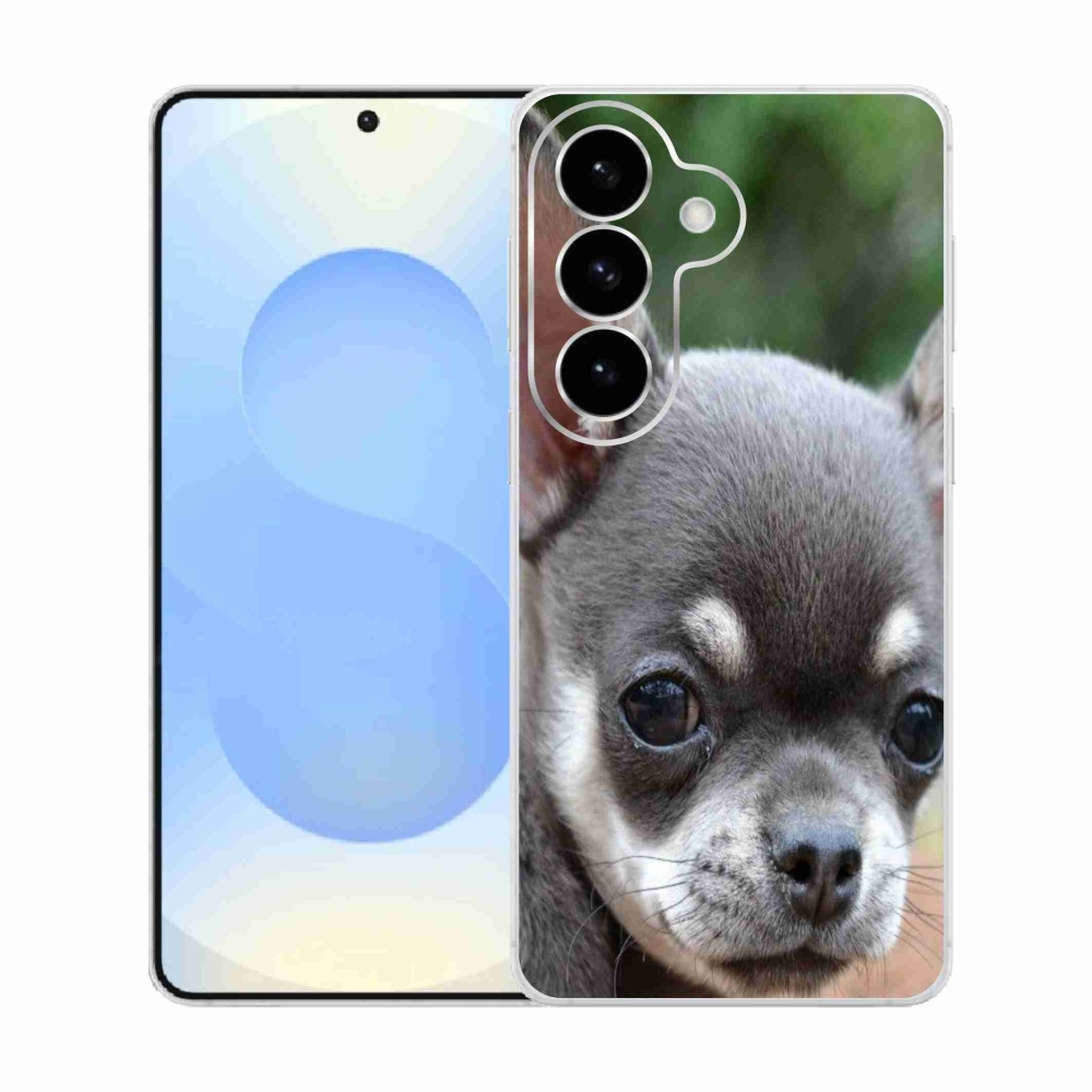 Gél borítás mmCase Samsung Galaxy S26 készülékhez - chihuahua