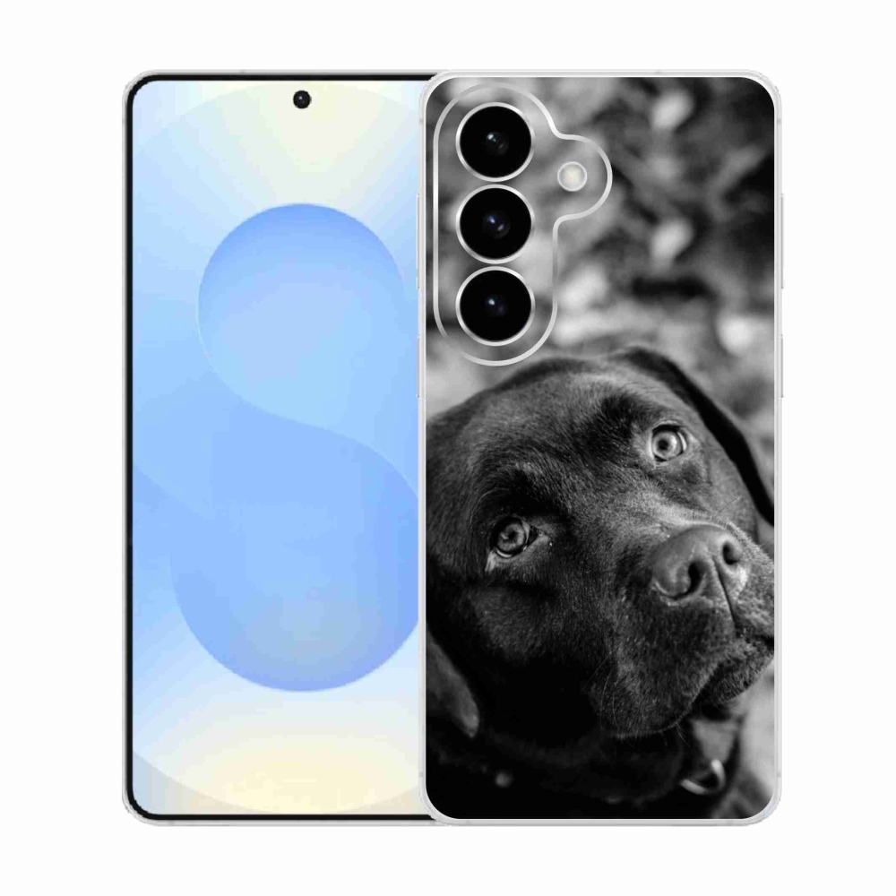 Gél védőhuzat mmCase Samsung Galaxy S26 készülékhez - labrador