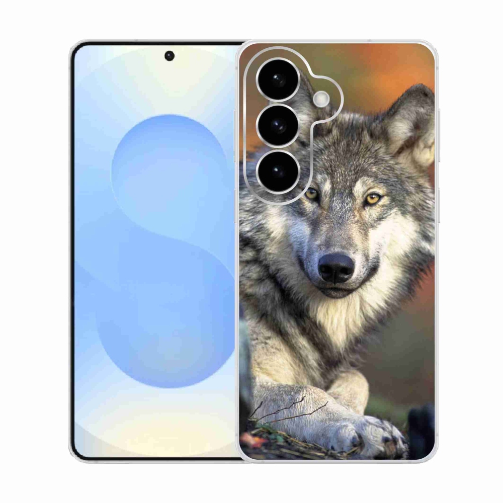 Gél borító mmCase Samsung Galaxy S26 - farkas
