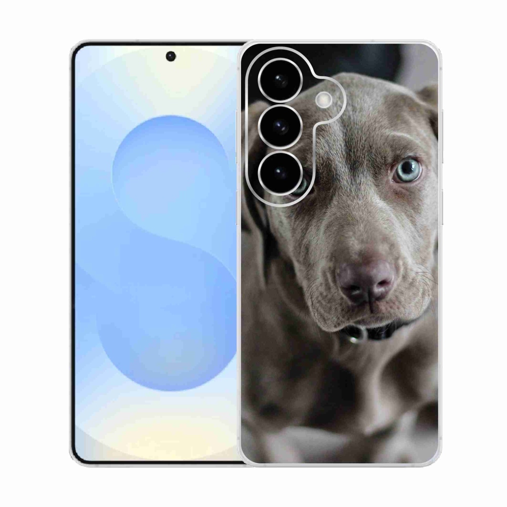 Gél borító mmCase Samsung Galaxy S26 készülékhez - vymarský ohař