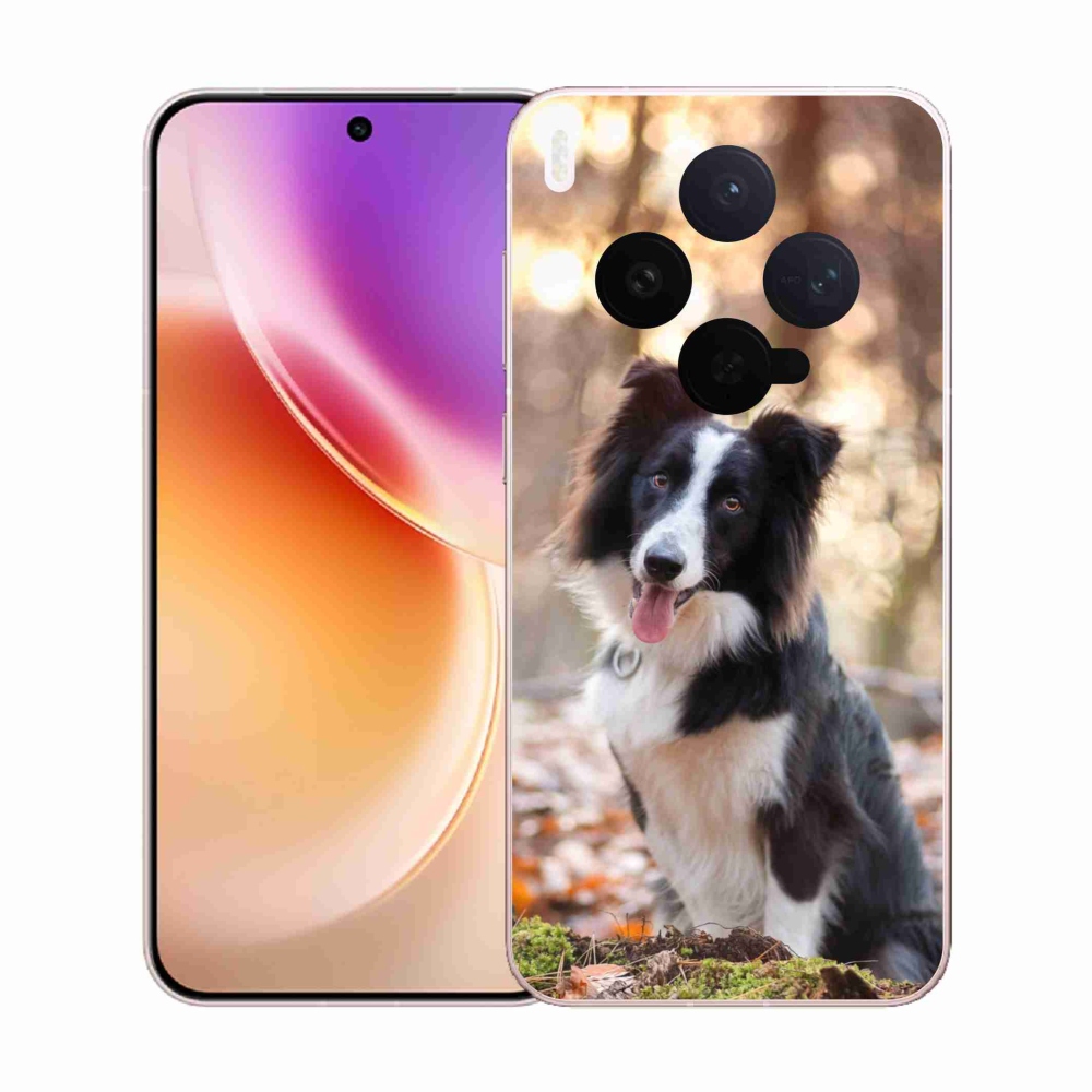 Gélfedél mmCase a Vivo X300-hoz - border colie 1