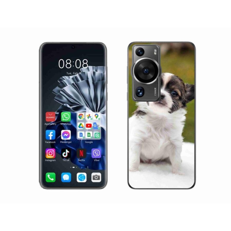 Gél tok mmCase a Huawei P60 Pro számára - chihuahua 4