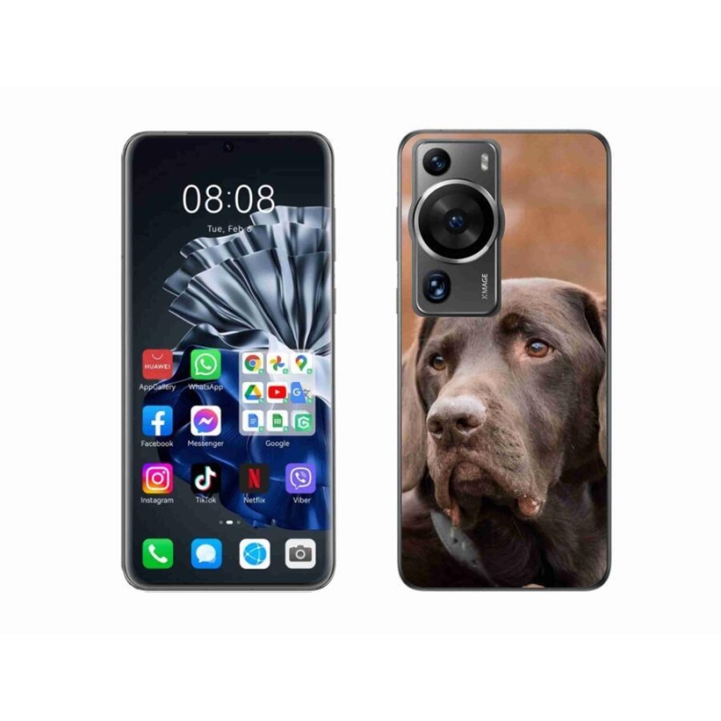 Gél tok mmCase a Huawei P60 Pro készülékhez - barna labrador