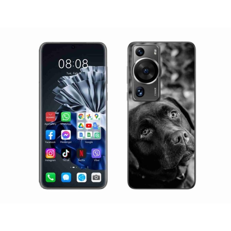 Gél tok mmCase a Huawei P60 Pro készülékhez - labrador