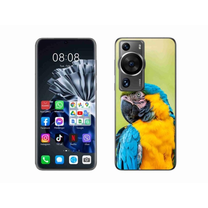 Gél tok mmCase a Huawei P60 Pro készülékhez - papagáj ara 2