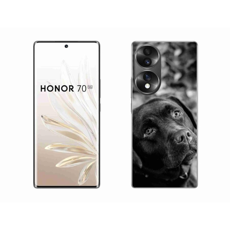 Gél tok mmCase for Honor 70 - labrador