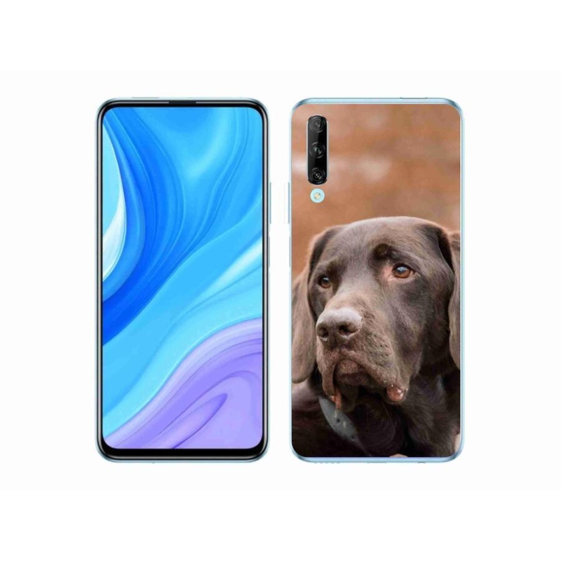 Gél tok mmCase a Honor 9X Pro-hoz - barna labrador