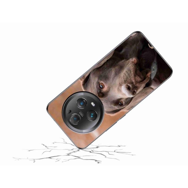 Gél tok mmCase a Honor Magic 5 Pro 5G készülékhez - barna labrador
