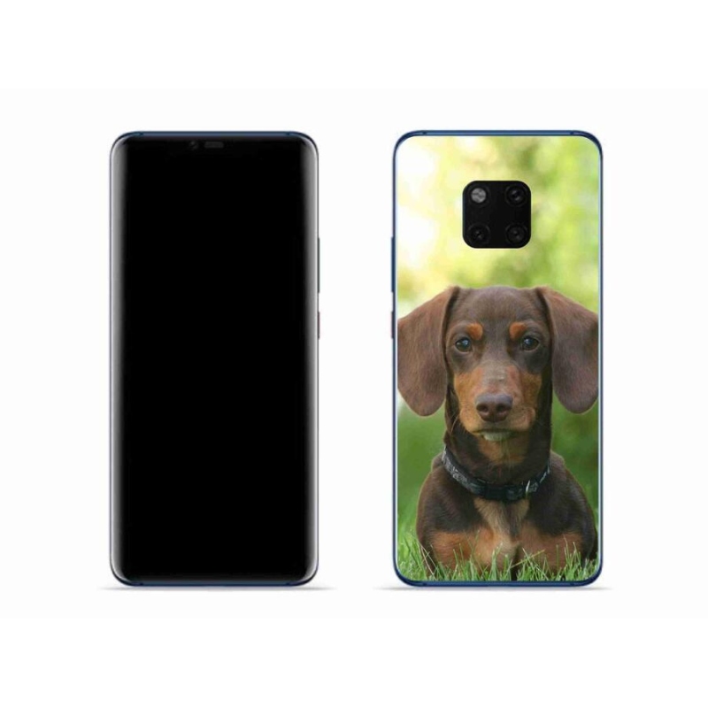 Gél tok mmCase a mobil Huawei Mate 20 Pro készülékhez - barna tacskó