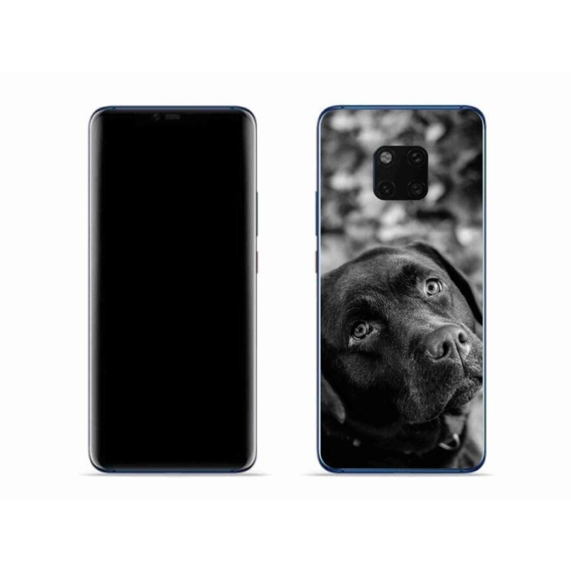 Gél tok mmCase a mobil Huawei Mate 20 Pro készülékhez - labrador