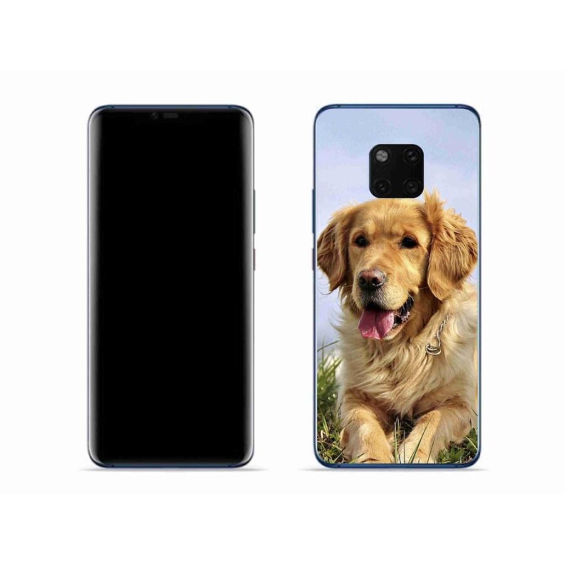 Gél tok mmCase a mobil Huawei Mate 20 Pro - arany retrieverhez