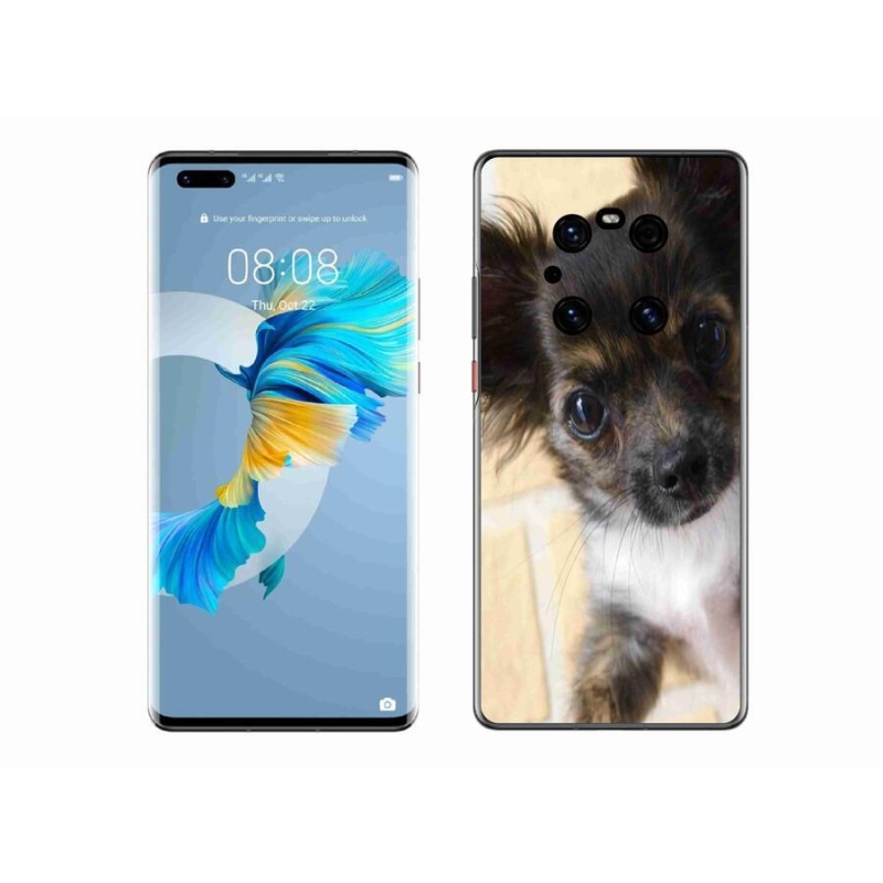 Gél tok mmCase mobil Huawei Mate 40 Pro - chihuahua 2