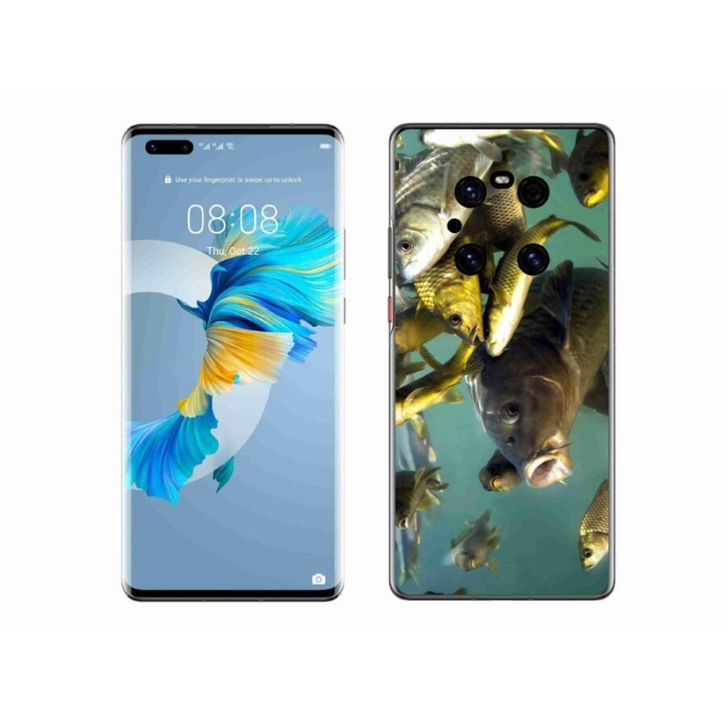 Gél tok mmCase a mobil Huawei Mate 40 Pro - halak iskolája számára