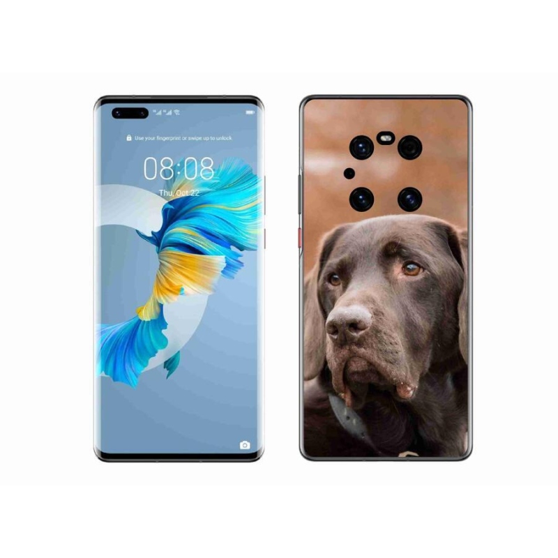 Gél tok mmCase mobiltelefonhoz Huawei Mate 40 Pro - barna labrador