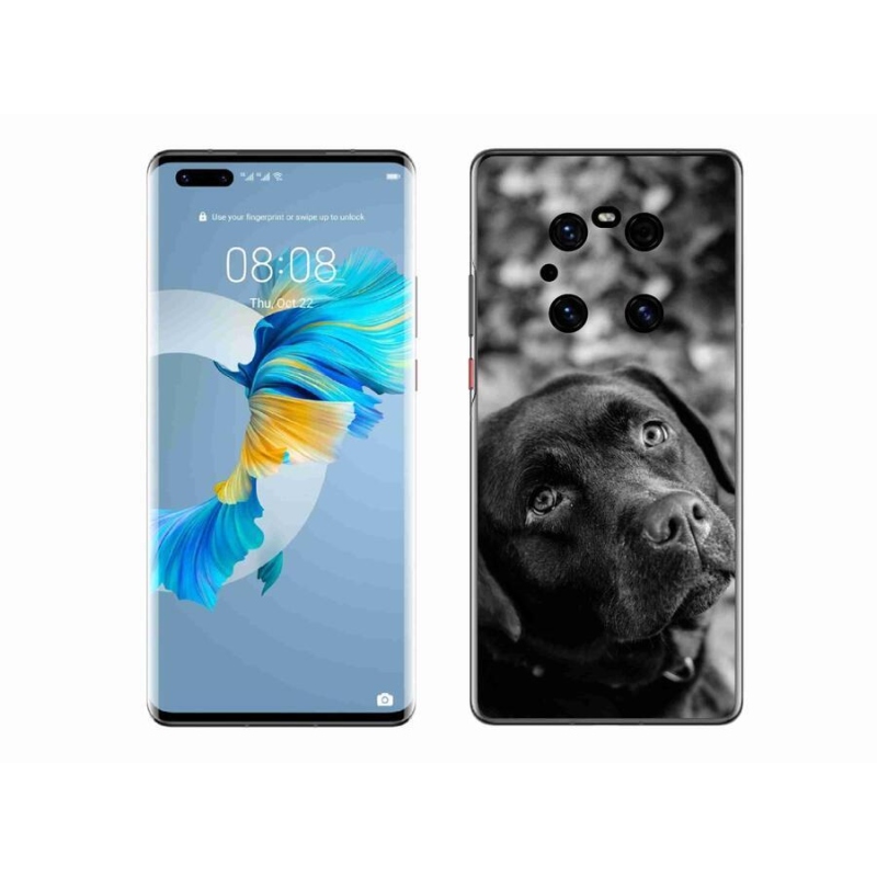 Gél tok mmCase a mobil Huawei Mate 40 Pro készülékhez - labrador