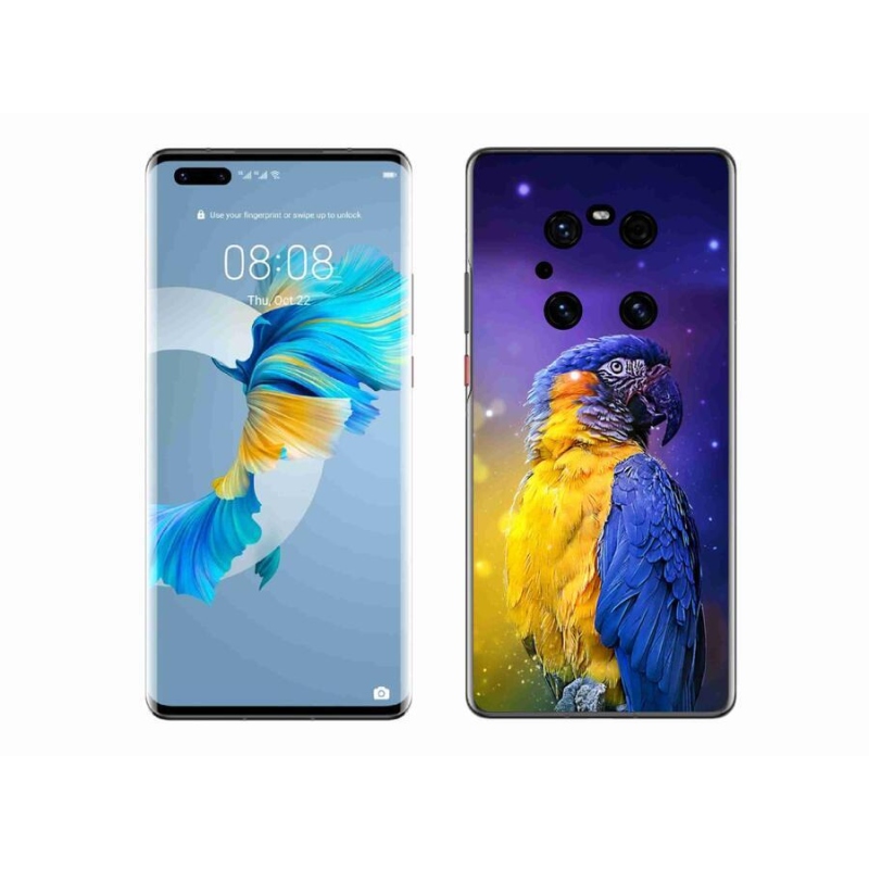 Gél tok mmCase mobil Huawei Mate 40 Pro - papagáj ara 1