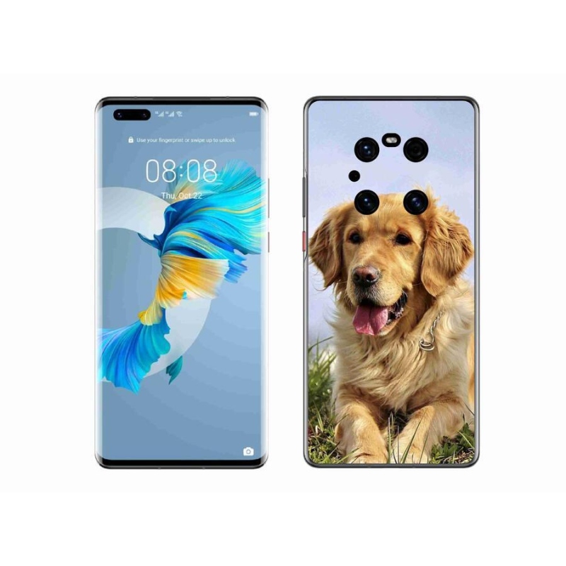 Gél tok mmCase mobil Huawei Mate 40 Pro - arany retriever