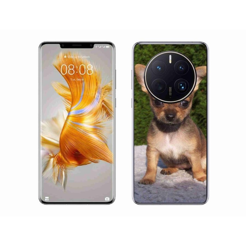 Gél tok mmCase mobil Huawei Mate 50 Pro - chihuahua 3