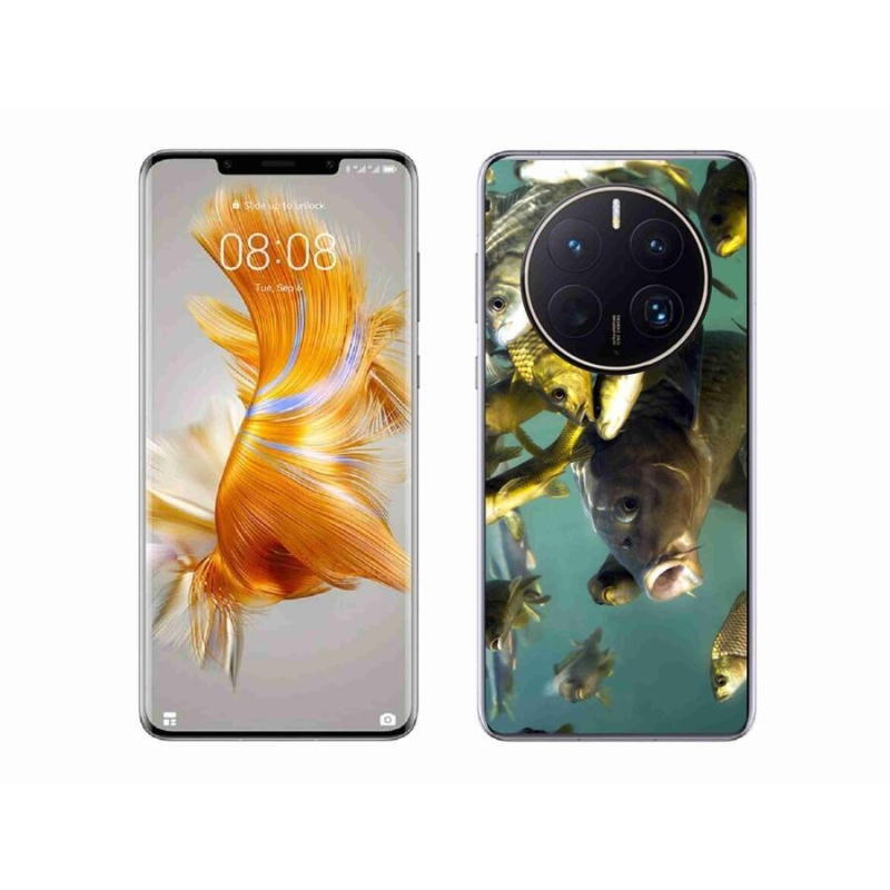 Gél tok mmCase a mobil Huawei Mate 50 Pro - halak iskolája számára