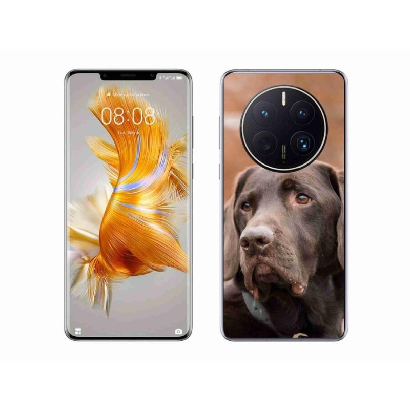 Gél tok mmCase a mobil Huawei Mate 50 Pro készülékhez - barna labrador