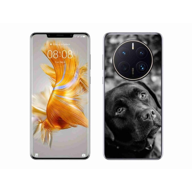 Gél tok mmCase a mobil Huawei Mate 50 Pro készülékhez - labrador