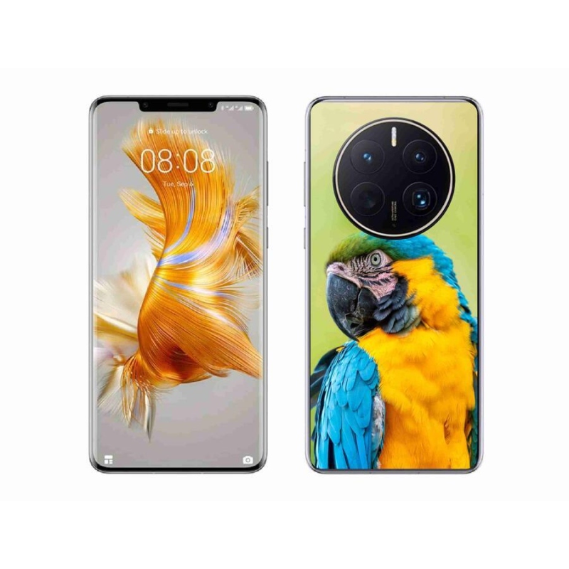 Gél tok mmCase mobil Huawei Mate 50 Pro - papagáj ara 2