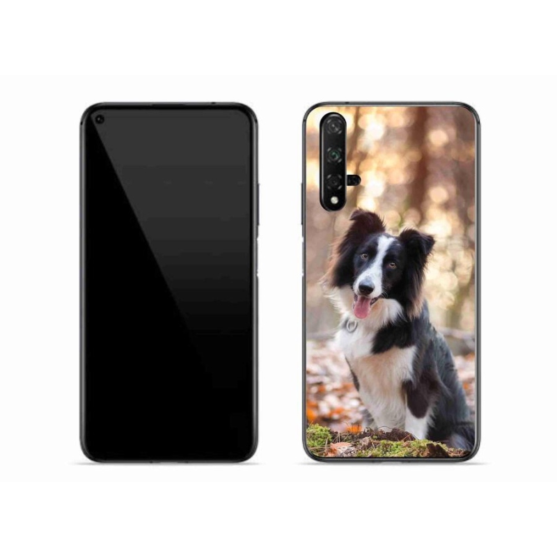 Gél tok mmCase mobil Huawei Nova 5T - border colie 1