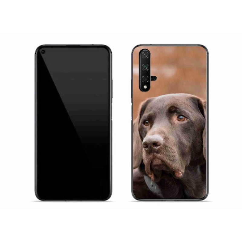 Gél tok mmCase a mobil Huawei Nova 5T - barna labradorhoz