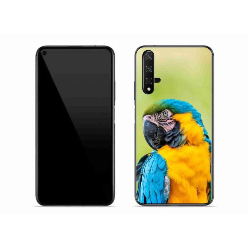 Gél tok mmCase mobil Huawei Nova 5T - papagáj ara 2