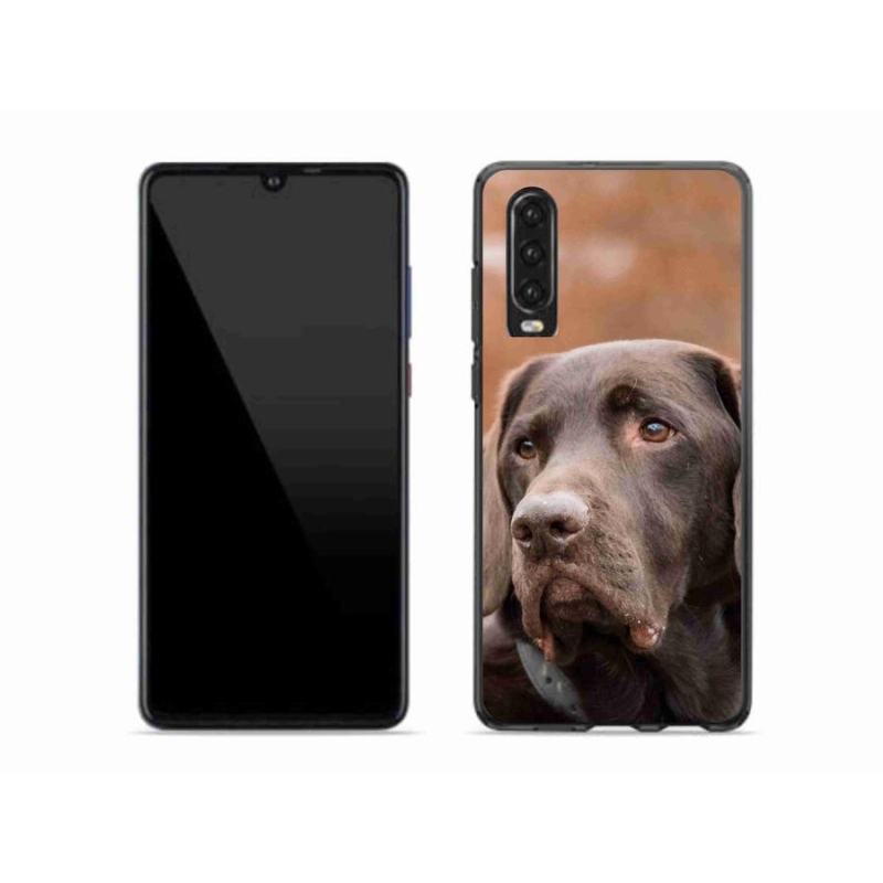 Gél tok mmCase a mobil Huawei P30-hoz - barna labrador