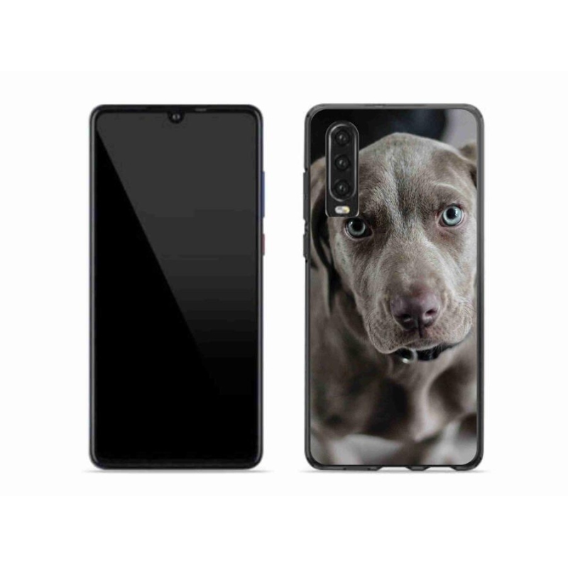 Gél tok mmCase mobil Huawei P30 - výmarský ohař
