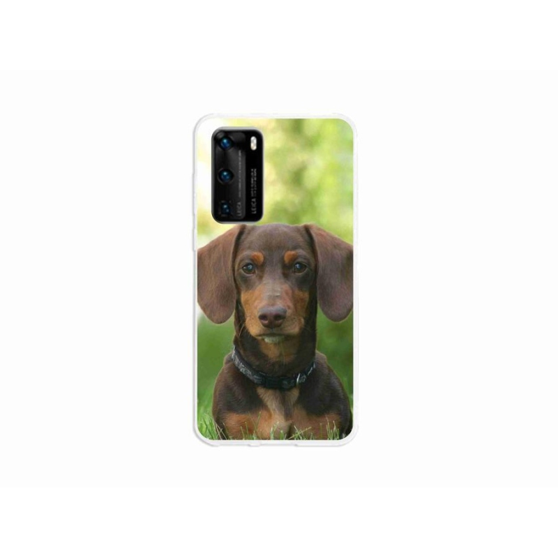 Gél tok mmCase a mobil Huawei P40 - barna tacskó számára