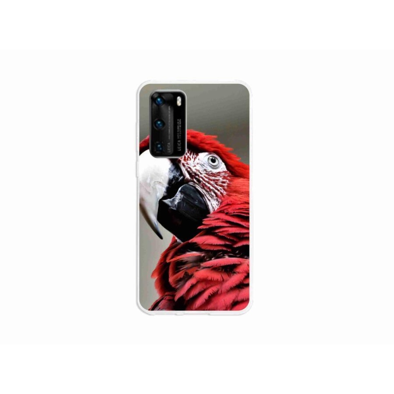 Gél tok mmCase mobil Huawei P40 - papagáj ara piros