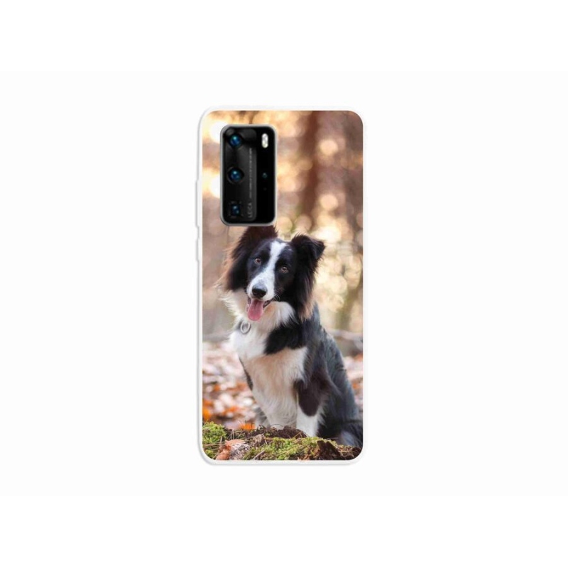 Gél tok mmCase mobil Huawei P40 Pro - border collie 1