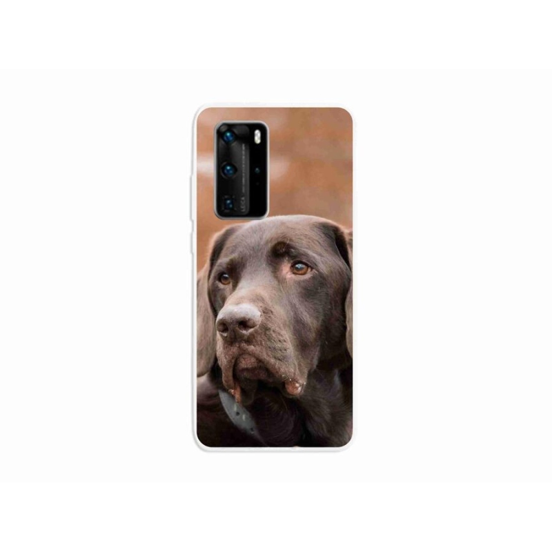 Gél tok mmCase a mobil Huawei P40 Pro - barna labradorhoz