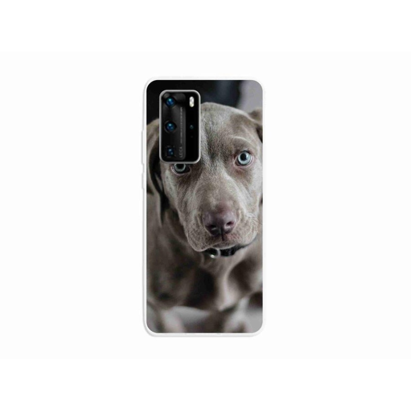 Gél tok mmCase mobil Huawei P40 Pro - výmarský ohař