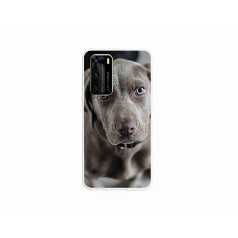 Gél tok mmCase mobil Huawei P40 - výmarský ohař