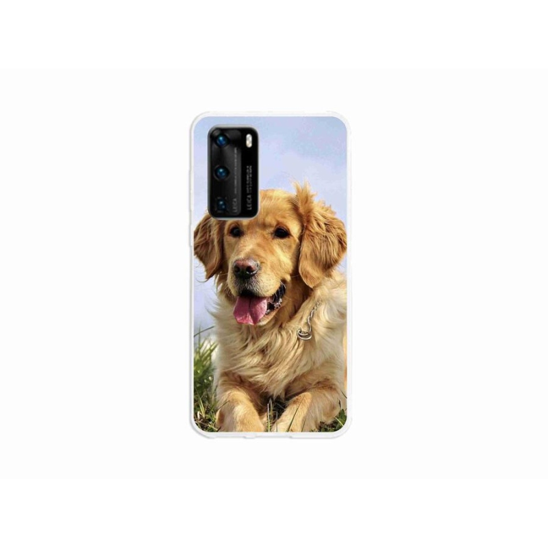 Gél tok mmCase a mobil Huawei P40 - arany retrieverhez