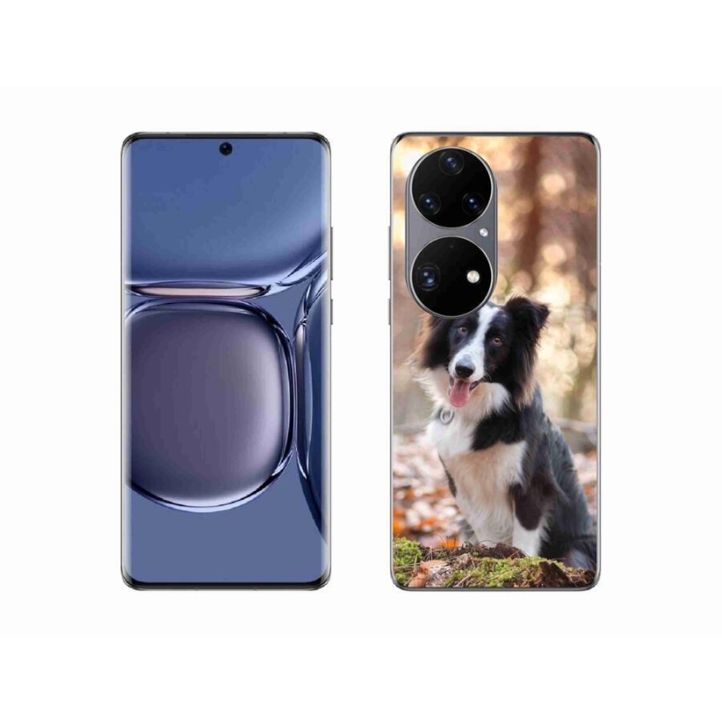 Gél tok mmCase mobil Huawei P50 Pro - border collie 1