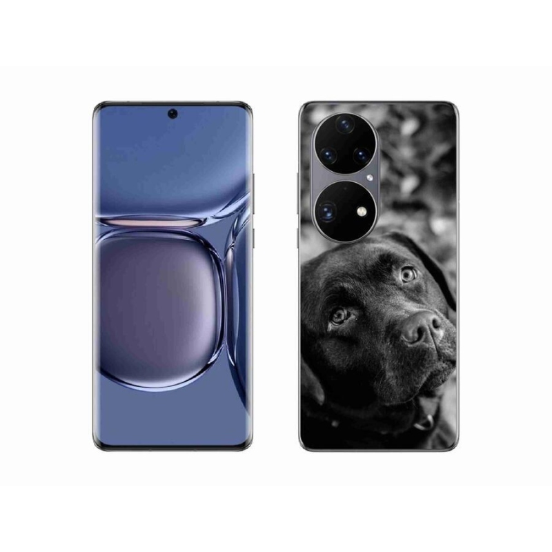 Gél tok mmCase a mobil Huawei P50 Pro - labradorhoz