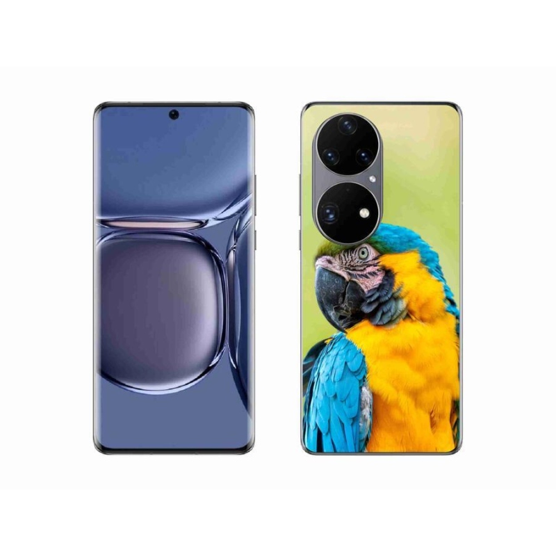 Gél tok mmCase mobil Huawei P50 Pro - papagáj ara 2