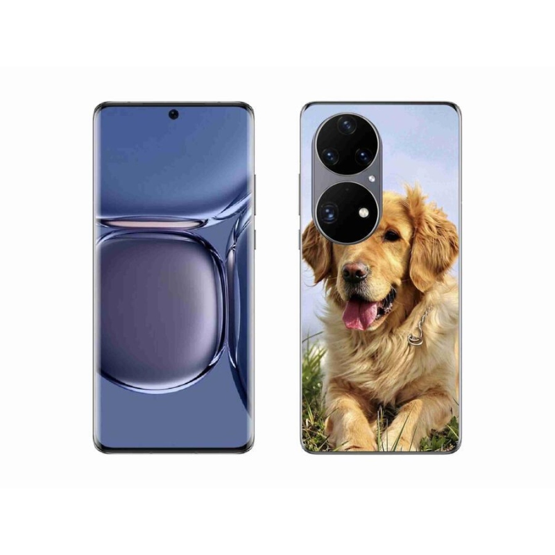 Gél tok mmCase mobil Huawei P50 Pro - arany retriever - mobilhoz