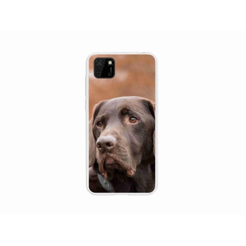 Gél tok mmCase a mobil Huawei Y5p - barna labradorhoz