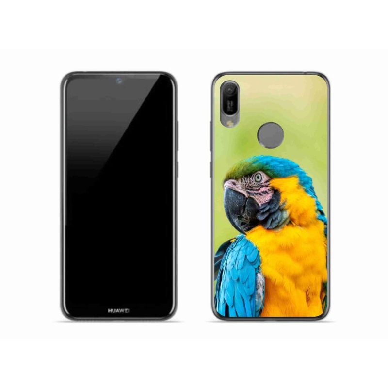 Gél tok mmCase mobil Huawei Y6 (2019) - papagáj ara 2