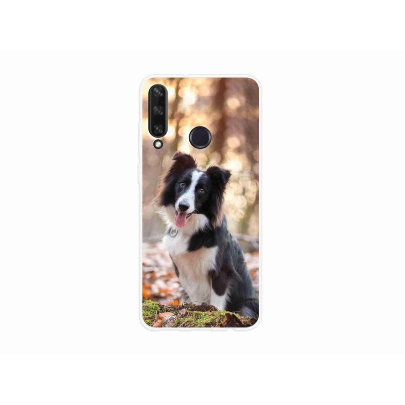 Gél tok mmCase mobil Huawei Y6p - border colie 1