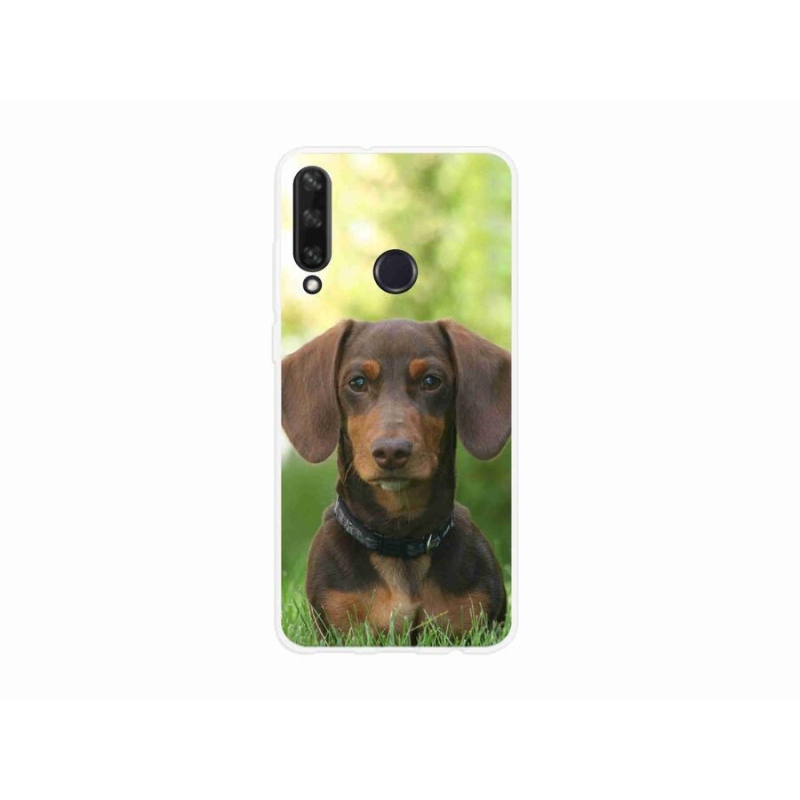Gél tok mmCase a mobil Huawei Y6p - barna tacskóhoz