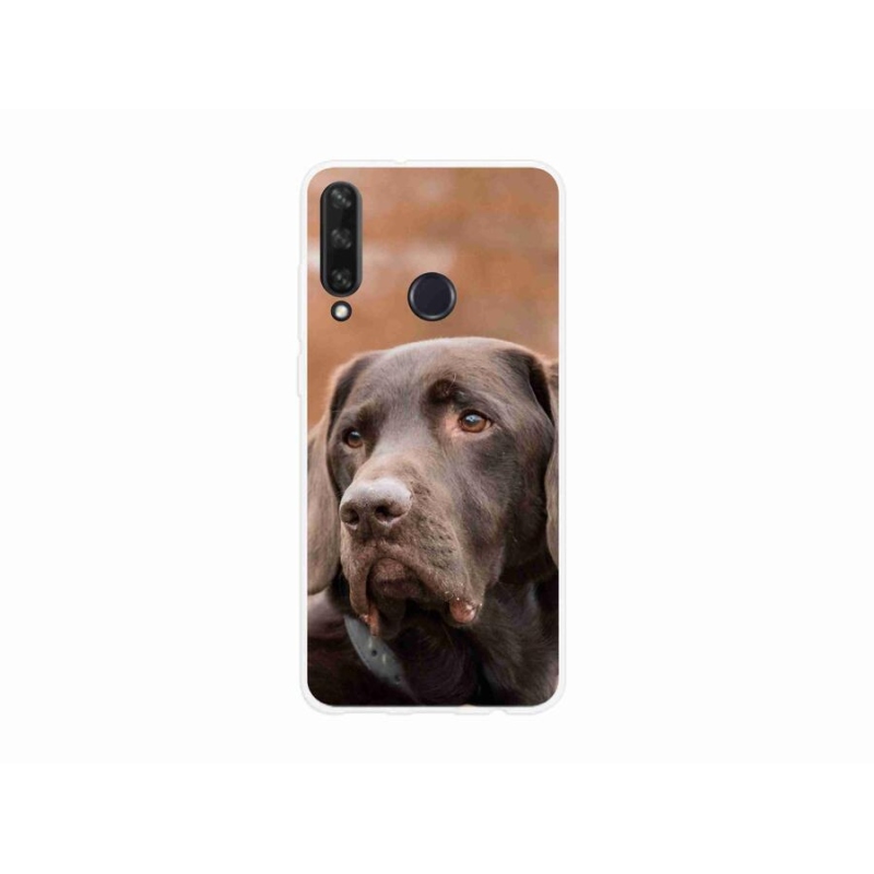 Gél tok mmCase a mobil Huawei Y6p - barna labradorhoz