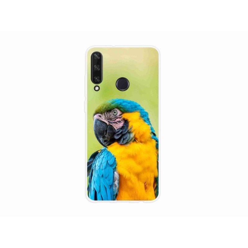 Gél tok mmCase mobil Huawei Y6p - papagáj ara 2