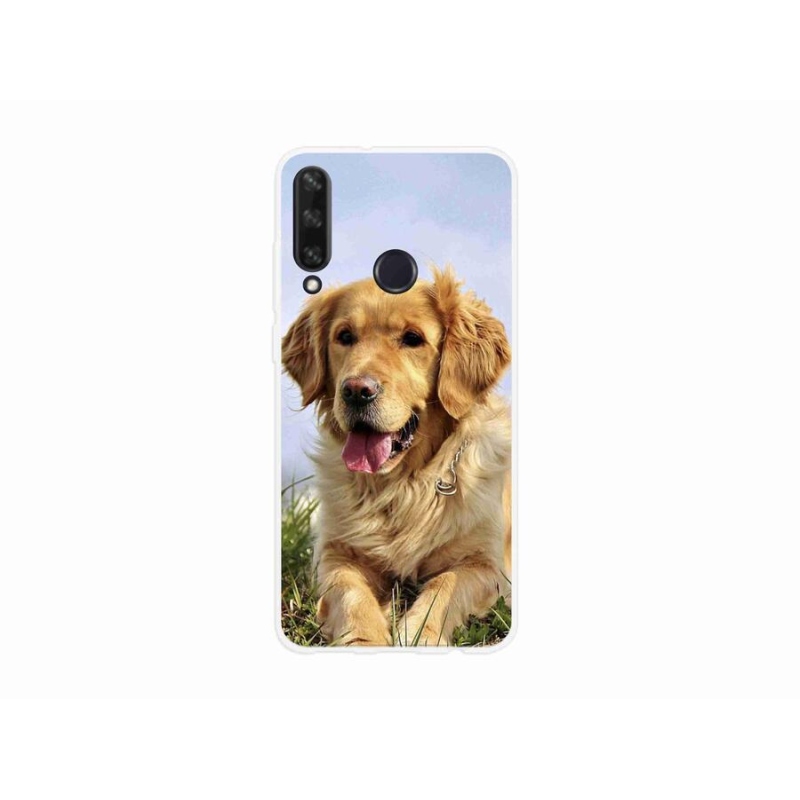 Gél tok mmCase a mobil Huawei Y6p - arany retrieverhez
